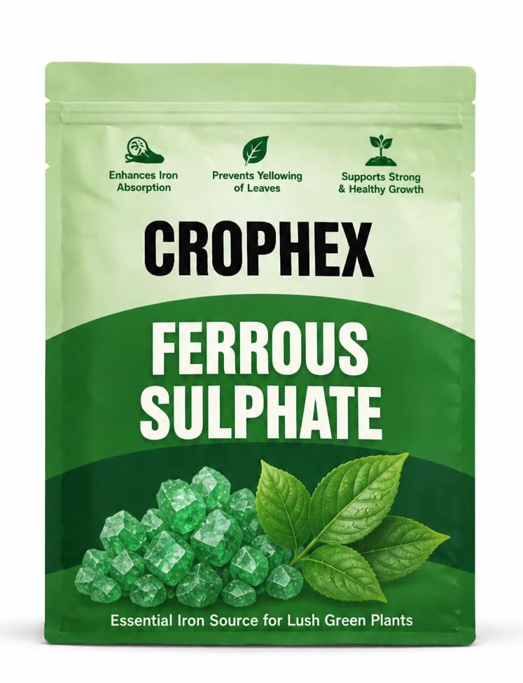 CROPHEX Ferrous Sulphate (500g) Plants & Gardening | Iron for Chlorosis & Yellow Leaves | Promotes Dark Green Foliage, Healthy Growth & Nutrient Absorption | Indoor, Outdoor Plants, Lawn & Garden-image-10