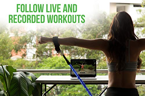 BodyBoss Home Gym 2.0 - Full Portable Gym Home Workout Package + 1 Set of Resistance Bands - Collapsible Resistance Bar, Handles - Full Body Workouts for Home, Travel or Outside - Blue - Image 6