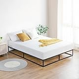 Olee Sleep 9 Inch Modern Metal Platform Bed Frame / Steel Slats / Mattress Foundation / Wood Slat Support / No Box Spring Needed, Queen