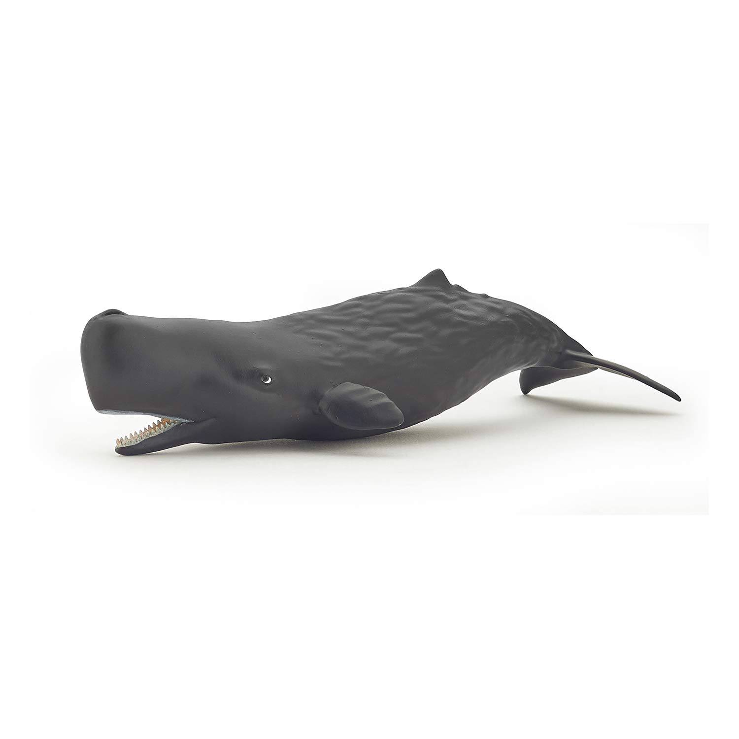 Papo 56045 Sperm whale calf MARINE LIFE Figurine, Multicolour