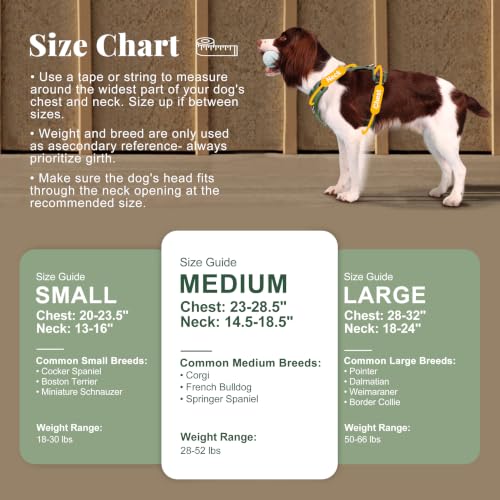 Image of Didog No Pull Dog Harness for Medium Dogs, Classic PU Leather, Green, M
