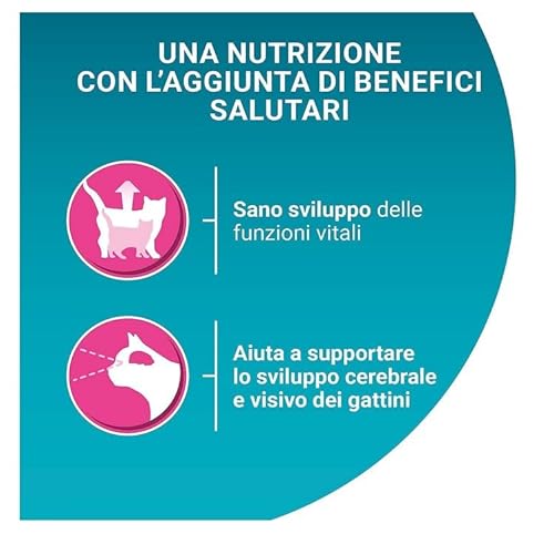 Purina One Bifensis Junior Crocchette Gatti, 1-12