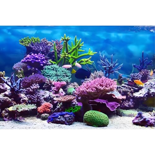 Selbstklebender Aquarien-Hintergrund Unterwasserwald mit Korallenmotiv – Dekorative Rückwand für Fischbecken, Terrarien & Reptiliengehege (61 x 30 cm)