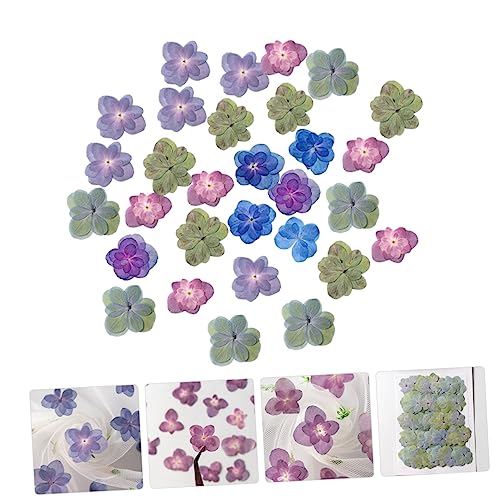 Flores secas prensadas LIFKOME 30 piezas para manualidades miniatura 3