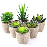 6 Stücke Kunstpflanze - Künstliche Pflanzen Sukkulenten mit Grauem Topf, Mini Plastik Fake Pflanzen, Zimmerpflanzen für Wohnzimmer Balkon Schlafzimmer Badezimmer Zimmer deko