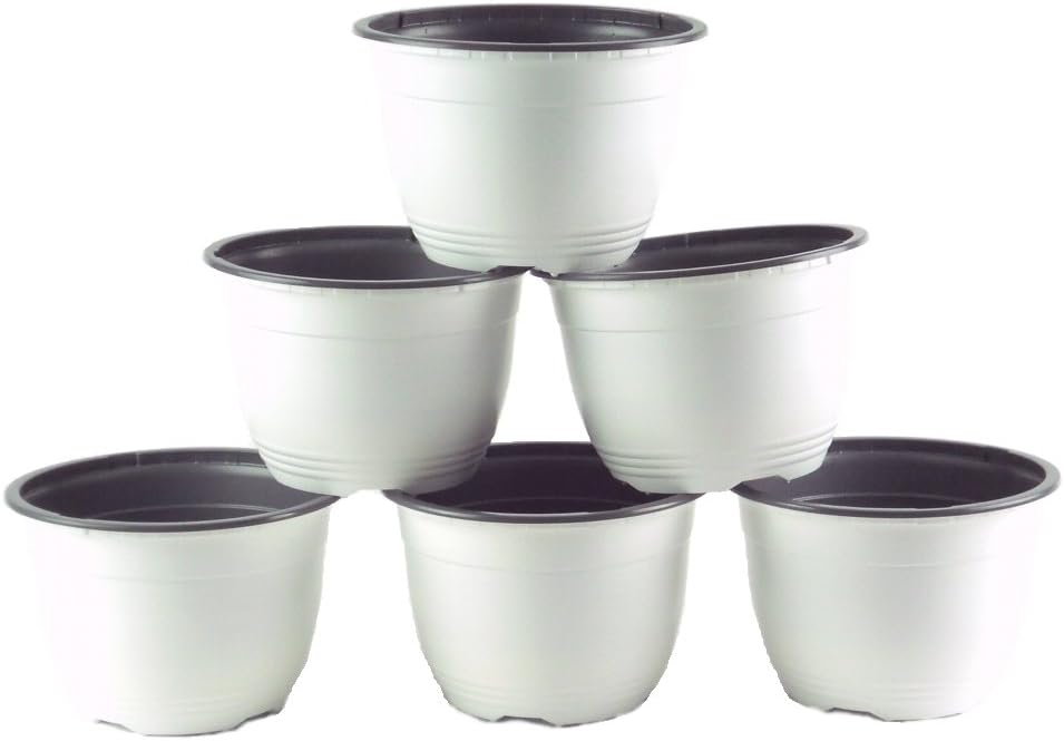 6 inch Plastic Pot White/Gray
