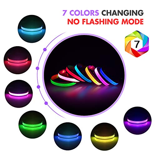 (50 OFF Coupon) LED Light Up Dog Safety Collar 9.99