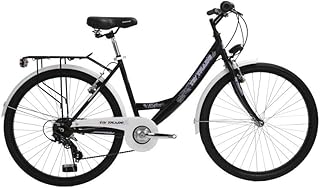 Suchergebnis Auf Amazon De Fur Cityrader 44 48 Cm Cityrader Fahrrader Sport Freizeit