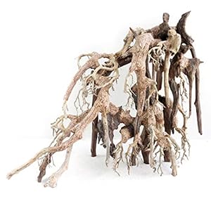 Amtra Legno Oriental Wind 1 SM