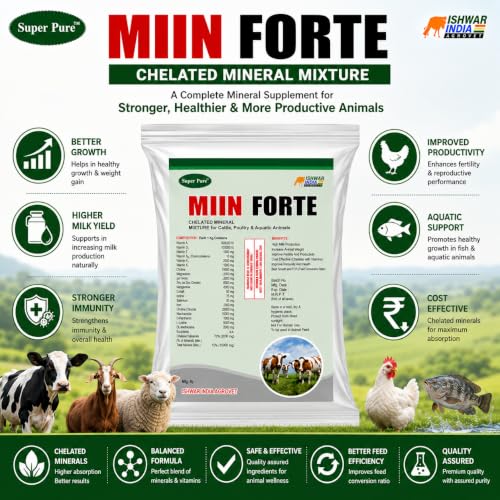 Image of MIIN Forte Pouch Pack | Mineral Mixture Powder for Cattle, Buffaloes, Goats & Sheep | Boosts Milk Yield, Growth, Immunity Booster | Powerful Chelated Minerals Mixture (1Kg)
