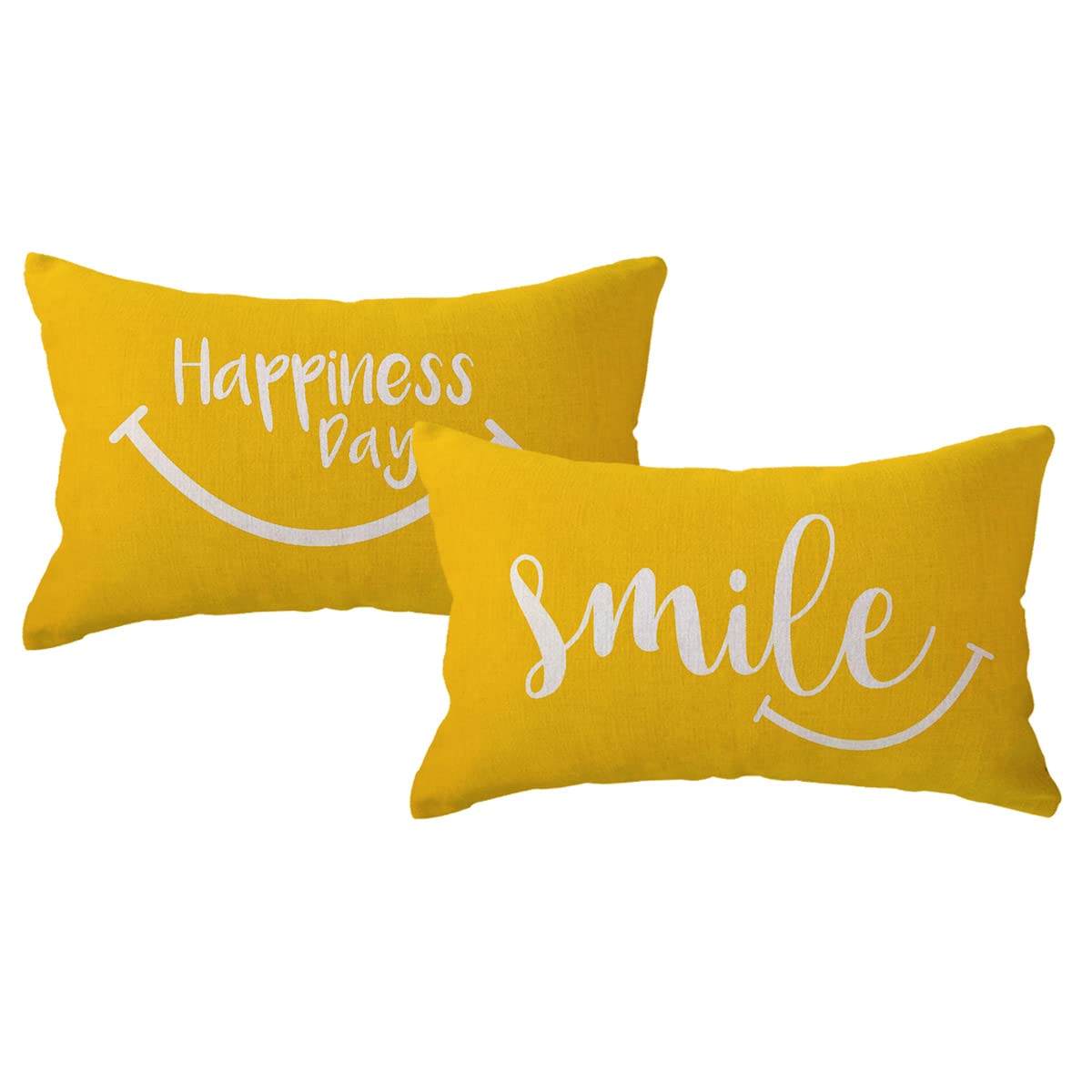 BGBDEIA Housse de coussin rectangulaire vintage rectangulaire en coton et lin pour la maison, le bureau, 30 x 50 cm