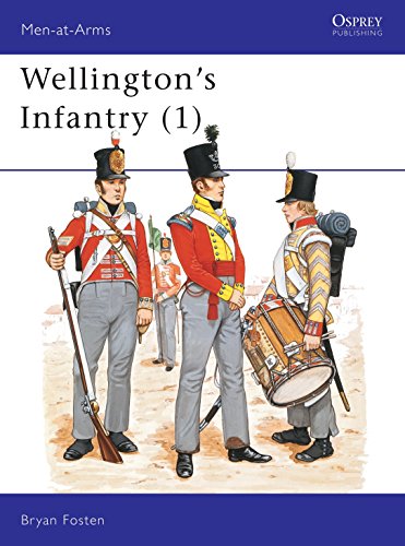 Wellington's Infantry (1) view 2