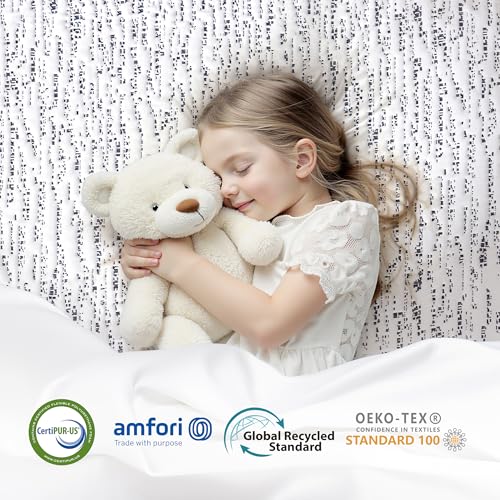 Subrtex Memory Foam Mattress Topper Queen, 4 Inch Mattress Topper for Pressure Relieving, Soft Breathable Bed Topper with Removable Washable Cover, CertiPUR-US Certified