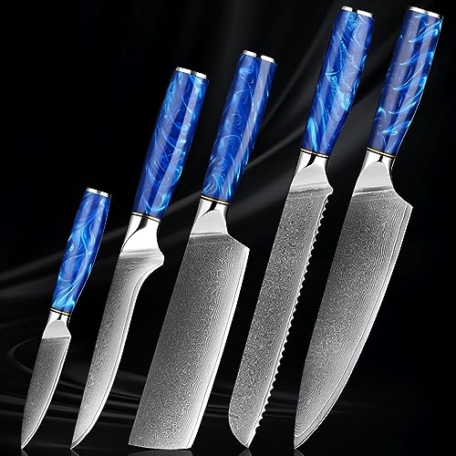 Set Cuchillos Cocina 5 Piezas Acero Damascus