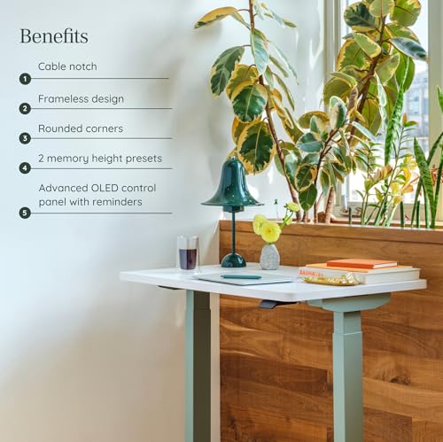 Image of Branch Duo Standing Desk, Adjustable Standing Desk with 20 inch Range | OLED Control Panel, Frameless Design and Compact Size Suitable for Many Spaces, 58 Inches, Charcoal Top, White Base