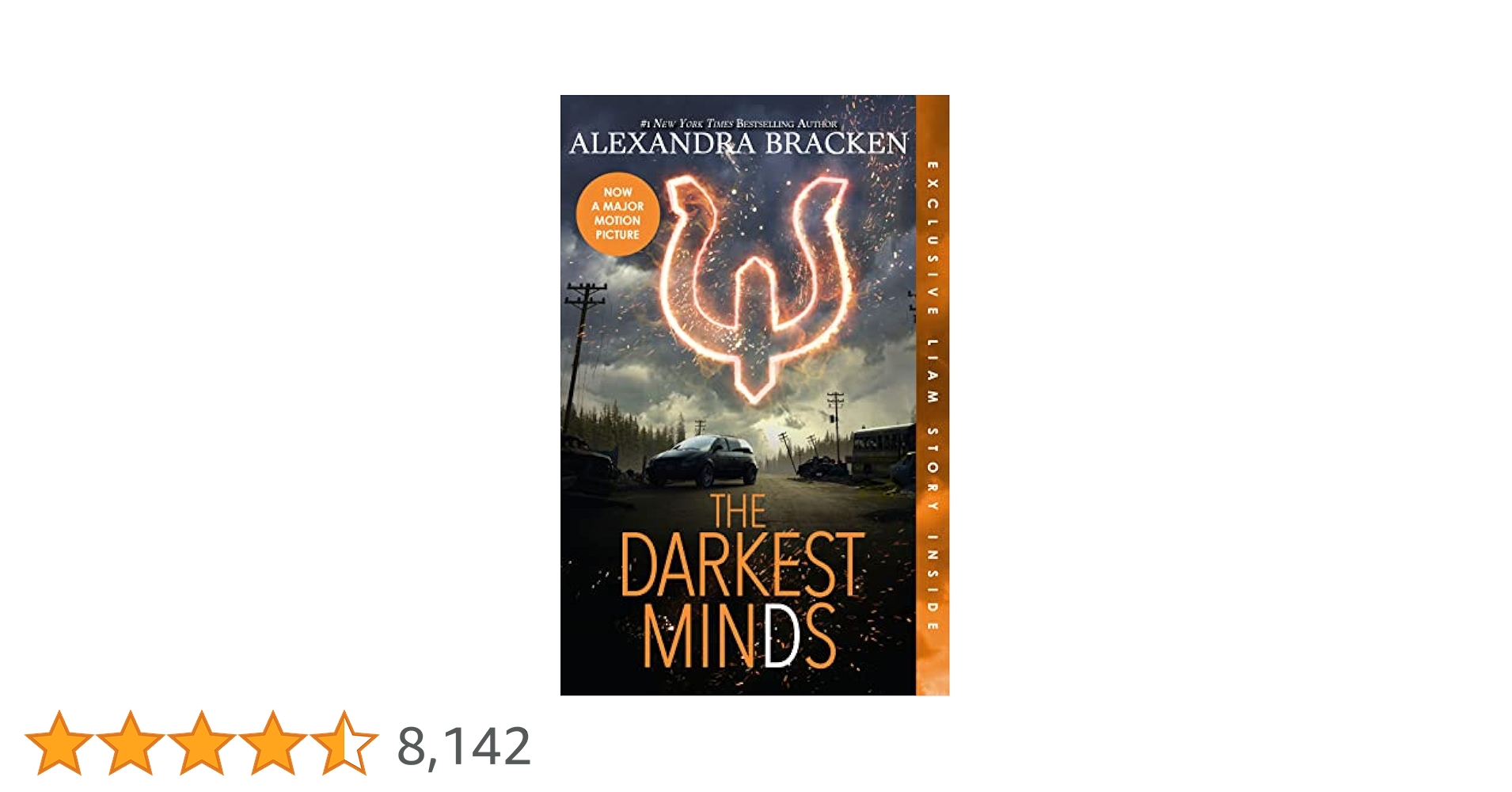 専用ページ】THE DARKEST MINDS 他2点 洋書セット 専用ページ