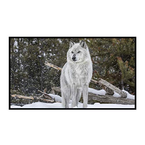 Image of Vutec Silverstar® ALR ACP High Performance Classic 1.5" Black Velvet Bezel Frame Wall Projector Screen 92In to 184In | Black Velvet Frame Anti-Crease Movie Home Theater Cinema | USA Made (106" 16:10)