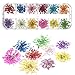 Art sec de fleur de fleur, vraies fleurs pour les ongles, autocollants d'ongles 3D avec la nature Fleurs sèches 12 couleurs 36 Pcs