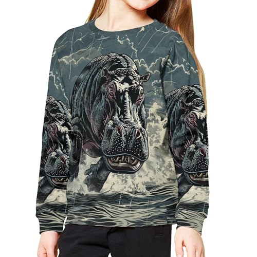 Sweatshirt for Boys Casual Cool Graphic Crewneck Sweatshirts Vacation Soft Comfy Pullover Kids Fall Long Sleeve Top4