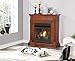 Duluth Forge Vent Free, 32,000 BTU, Remote Control, Autumn Spice Finish Dual Fuel Fireplace