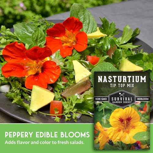 Nasturtium Seeds for Planting – Survival Garden Seeds (1 Pack) - Image 5