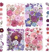 LUXEEASE 100 Pcs Dried Pressed Flowers for Crafts, Real Natural Dried Pressed Flowers in Pink, Pu...