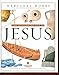 Illustrated Life of Jesus