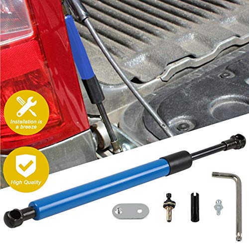 Tailgate Assist Shock Struts for 2009-2018 Dodge Ram 1500 2500 3500/2019 Ram Classic DZ43301