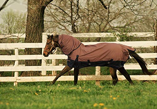 Couverture imperméable cheval 1680D couverture hivernale coupe-vent taille 78