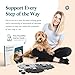 FluentPet Speak Up! Get Started Kit with Clearer Upward-Facing Sound - 6 Recordable Buttons for Dogs & 3 Grey HexTiles | Dog & Cat Communication Buttons Set | with Batteries