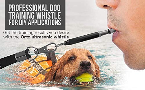 Ortz Dog Whistle Training in Use