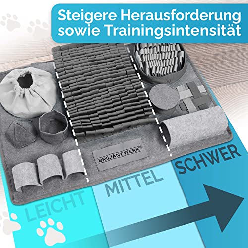 Schnüffelteppich Briliantwerk für Hunde – Intelligenzspielzeug