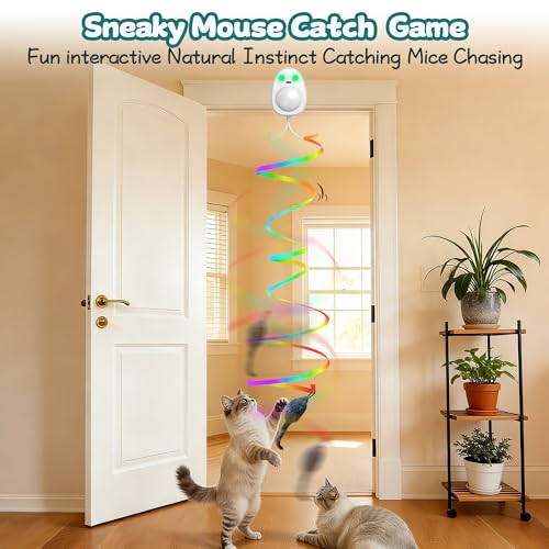 Image of Interactive Cat Toys for Indoor Cats,Electric Flying Bird & Mouse Wand Teaser, Automatic Hanging Door Frame Chase /Hunt /Exercise Stimulate String Cat Toy for Bored Indoor Adult & Kitten