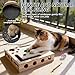 Mmxhn Cat Puzzle Enrichment Box – Wooden Interactive Toy with Scratcher & Nail File for Indoor Cats – Maze Ball Track Teething Sticks Kit