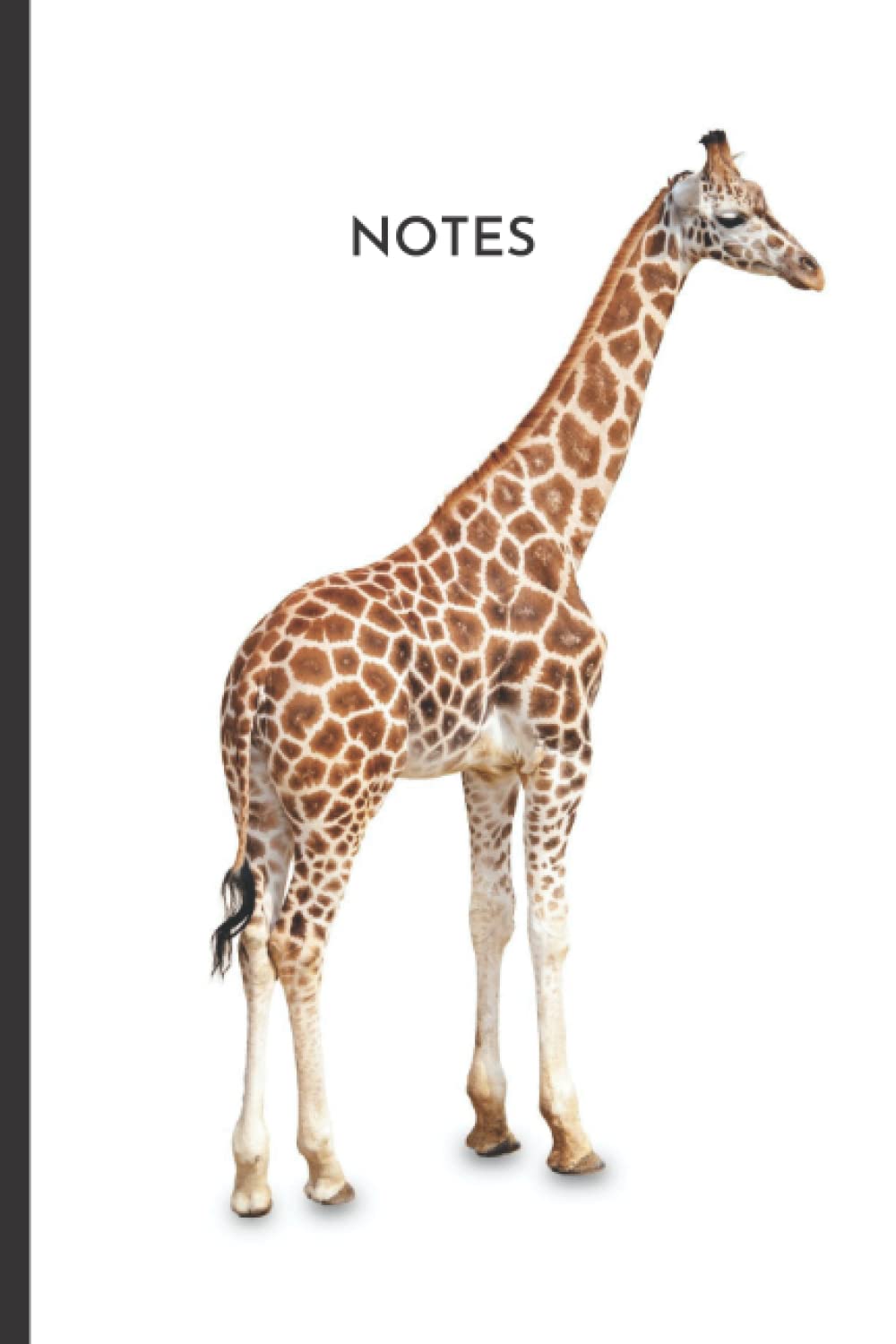 Giraffe Notebook: Cute Giraffes Safari A5 Notebook, lined/ruled paper basic/classic/composition note/notes/journal/notepad. Super cute for ... who love giraffes. Premium design.