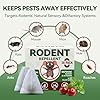 Rodent Repellent 36 Balls, Peppermint Oil Mouse Repellent Indoor & Outdoor Use, Natural Moth Balls for Rodent Mice Repellent for Home, Garage, Car, RV & Garden #2