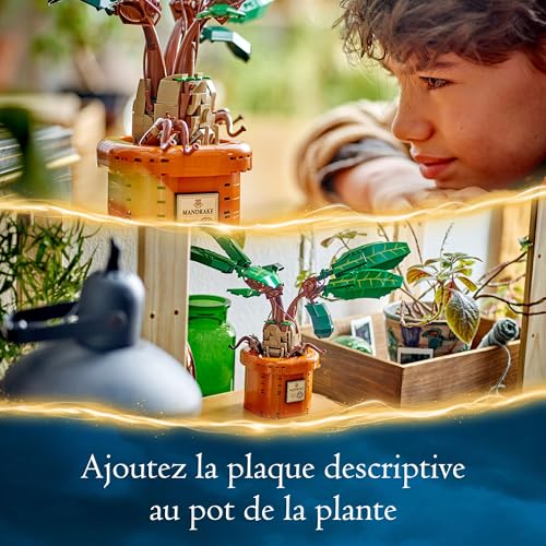 LEGO Harry Potter Mandragore - Plante et Pot - Créature Magique - Idée de Cadeau pour Les Filles, Les garçons et Les Fans - Set pour Les Enfants imaginatifs - Idée déco 76433