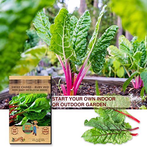 Farmer Flints Ruby Red Swiss Chard Seeds For Planting - Pack Of 100 High Germination Heirloom Seeds Non Gmo Organic For Home Garden - Red Stem Summer Spinach Seeds For Planting Vegetables And Fruits #TOP1
