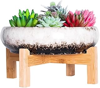 Succulent Plant Pot - Large Bonsai Pot with Stand Shallow Cactus Plant Pot with Mess Drainage Screen, 25.4 CM Ceramic Flower Plant Container Bowl for Indoor/Outdoor (White)