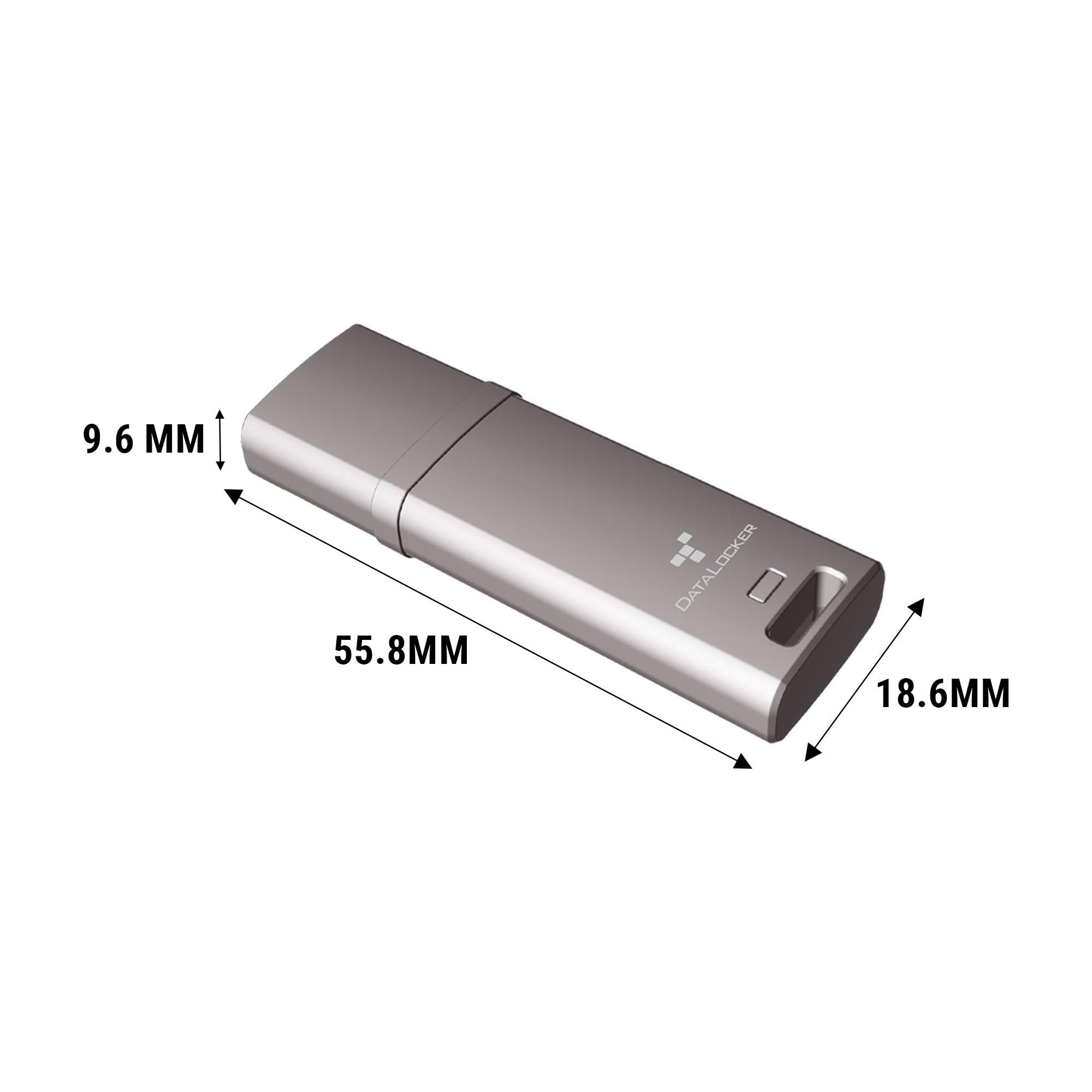 DataLocker DL GO Encrypted USB Flash Drive | USB 3.2 Gen 1 | AES 256-bit XTS | FIPS 197 | IP68 Rugged | TAA Compliant - 64GB