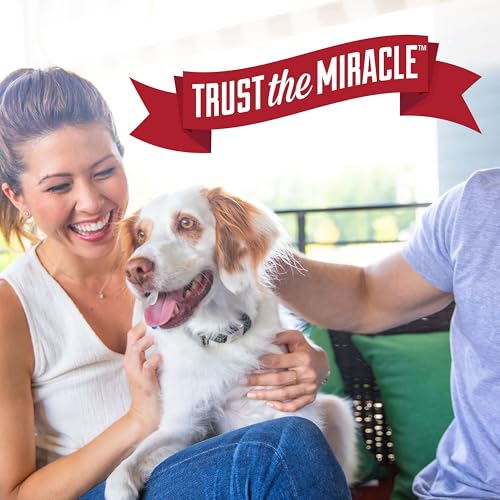 Image of Nature's Miracle Advanced Platinum No More Marking Spray, Gallon | Effective Training Aid to Eliminate Repetitive Marking Indoors, Carpets, Floors, Potty Training Spray for Dogs, Puppies