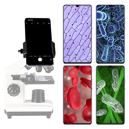 Best Microscope Adapters Buying Guide Gistgear
