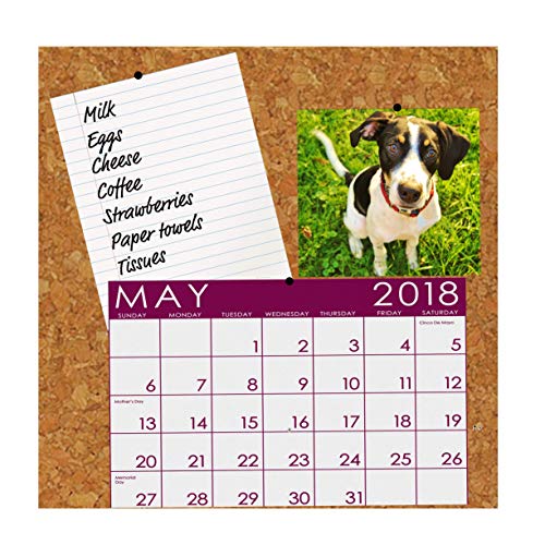 Flipside Products 6 x 6 x 1/8" Thick Natural Brown