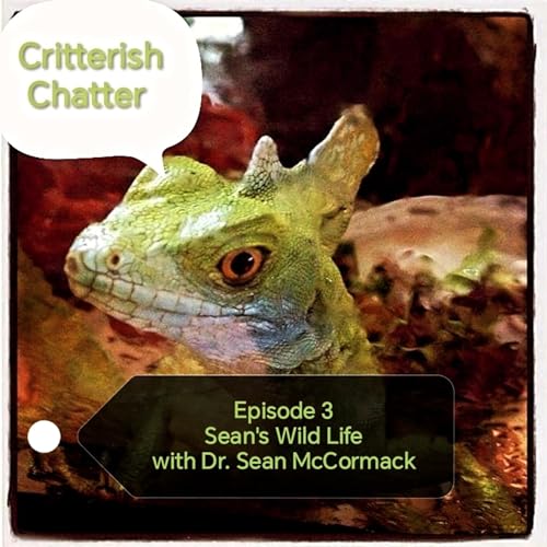 Episode 3 - Sean's Wild Life with Dr. Sean McCormack