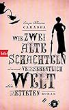  Wie zwei alte Schachteln einmal versehentlich die Welt retteten: Roman