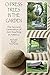 Cypress Trees in the Garden: The Second Generation of Zen Teaching in America