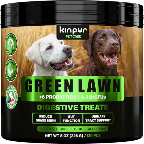 Green Lawn Chews for Dogs - Natural Dog Urine Neutralizer for Lawn with Cranberry, Probiotics, ACV & Digestive Enzymes - 120 Chews for Healthy Bladder, Urinary Tract - Grass Burn, Yellow Spots Treats