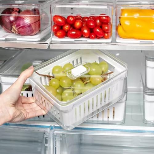 6 Organizador de Geladeira com Escorredor Interno - Caixa Plástica para Legumes, Saladas