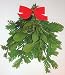 Fresh Large Real Mistletoe Christmas Holiday Kissing Decoration with California Redwood and Rosemary in Gift Bag