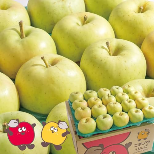 【1玉98円!】青森県産りんご トキ 小玉 10kg 家庭用 訳あり 産地直送 (10kg(クール便))